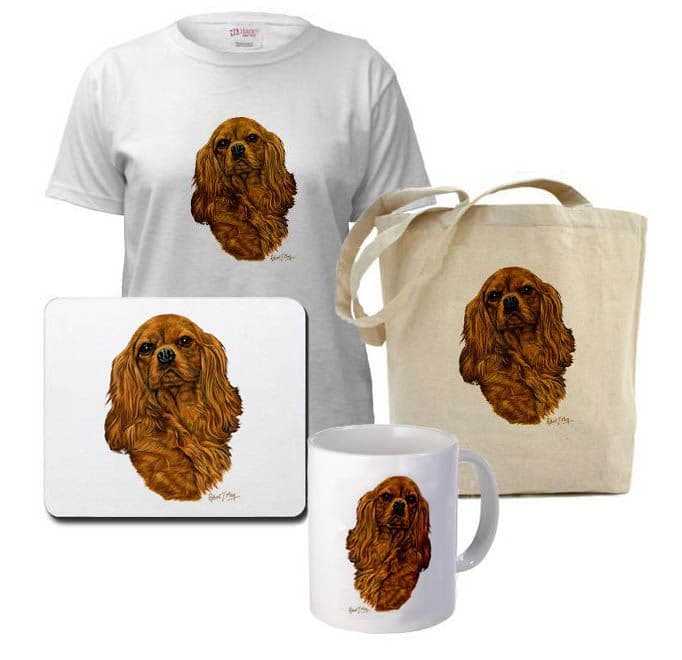 Ruby Cavalier King Charles Spaniel Head Study Print RMDH161